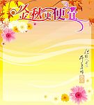 金秋更便宜