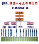 公司管理结构图