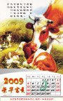 2009牛年挂历全套4月份