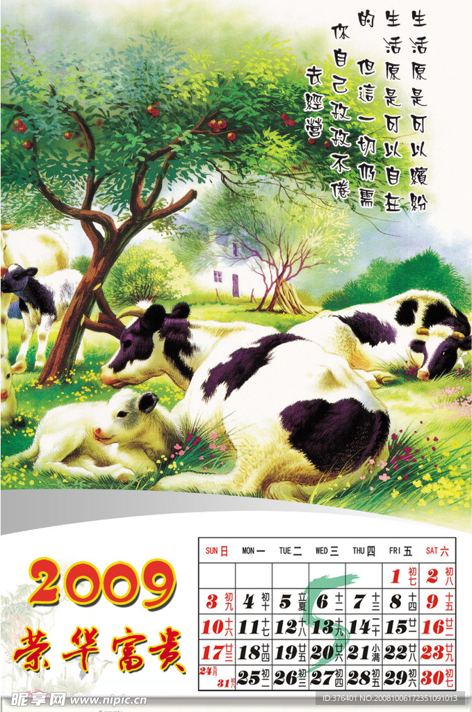 2009牛年挂历全套5月份