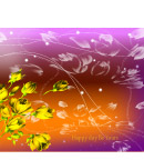 万道光芒