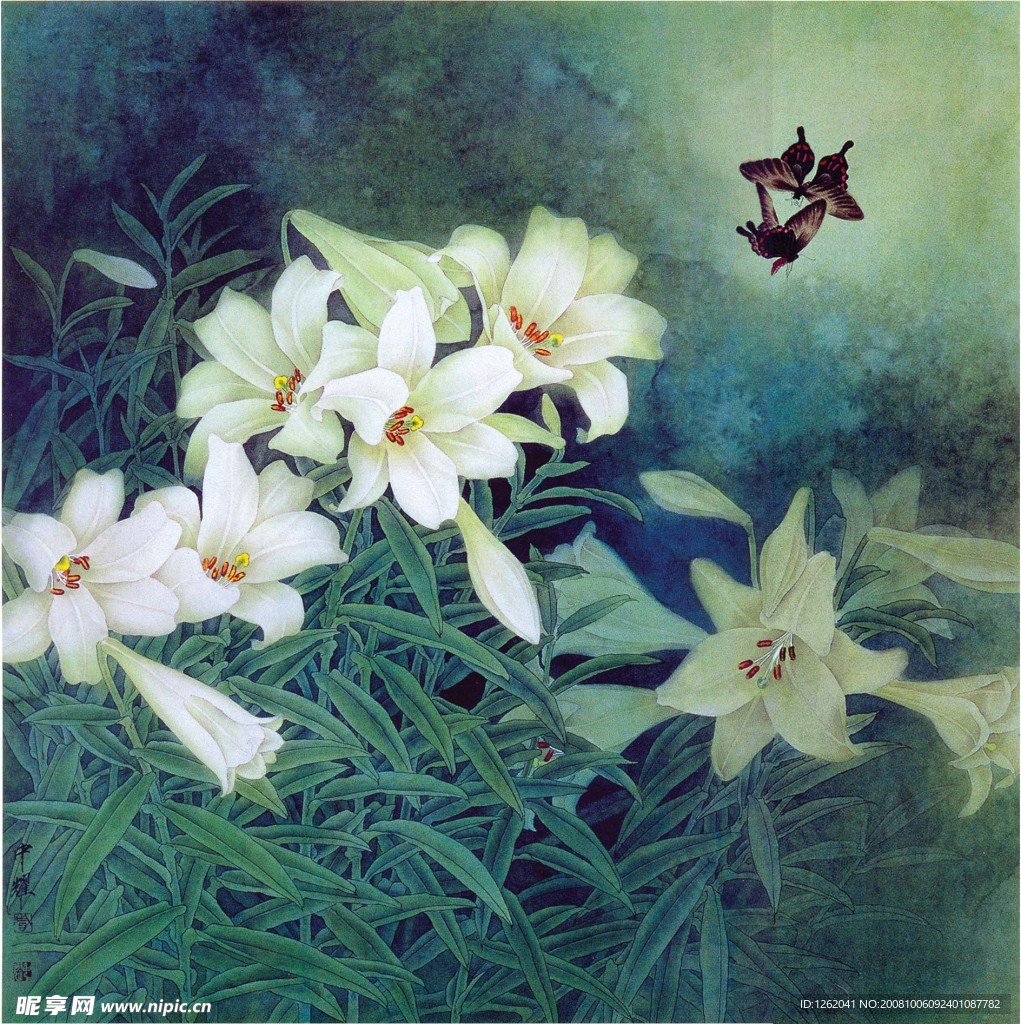 百合花