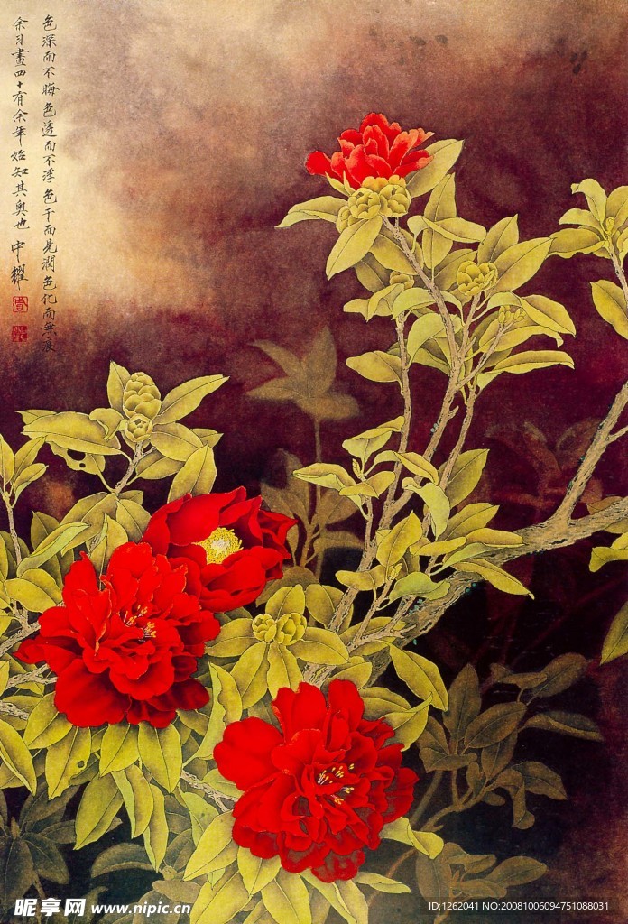 茶花