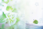 CG背景SPA