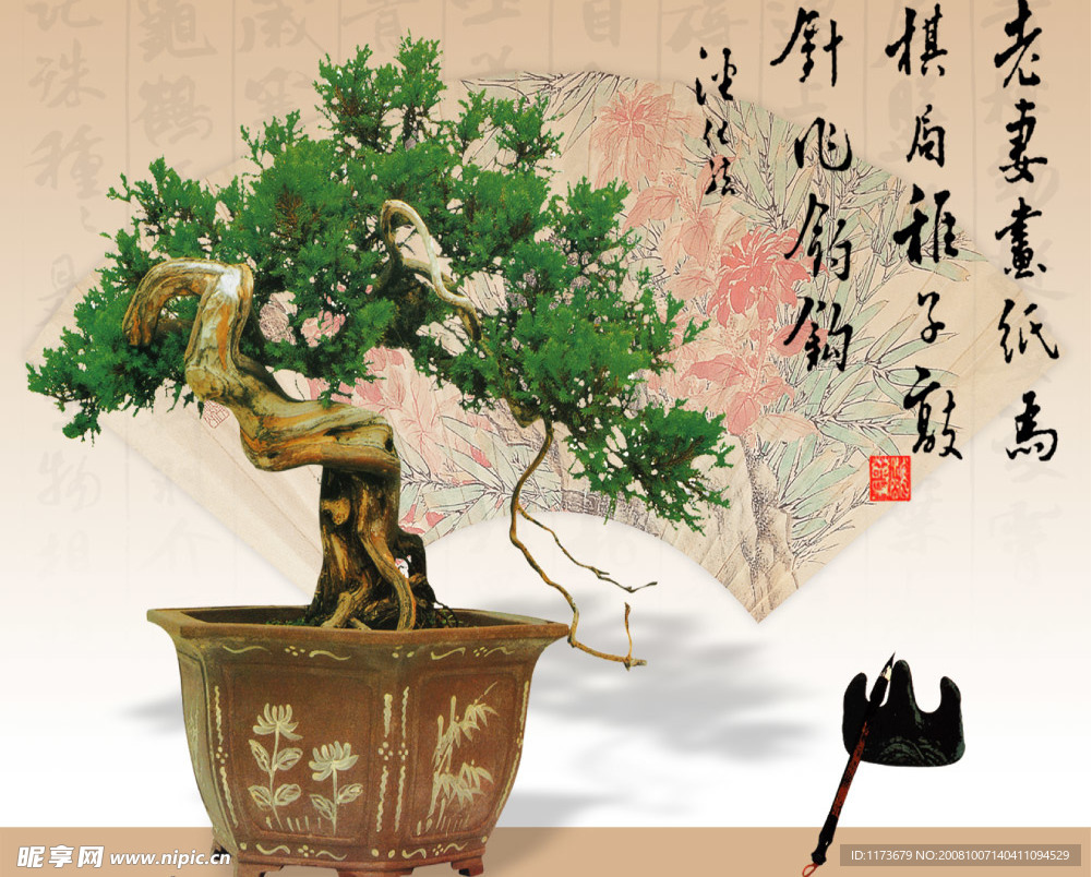 盆景7