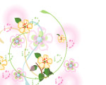 優雅花2