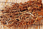 茶树菇