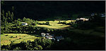 美丽的田野