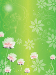 梦幻
