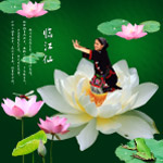 荷中舞