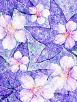 抽象花卉