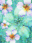 印象花卉