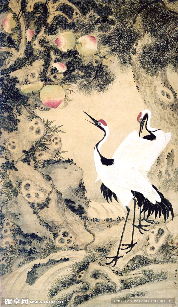 松鹤长寿