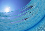 海底