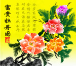 牡丹图