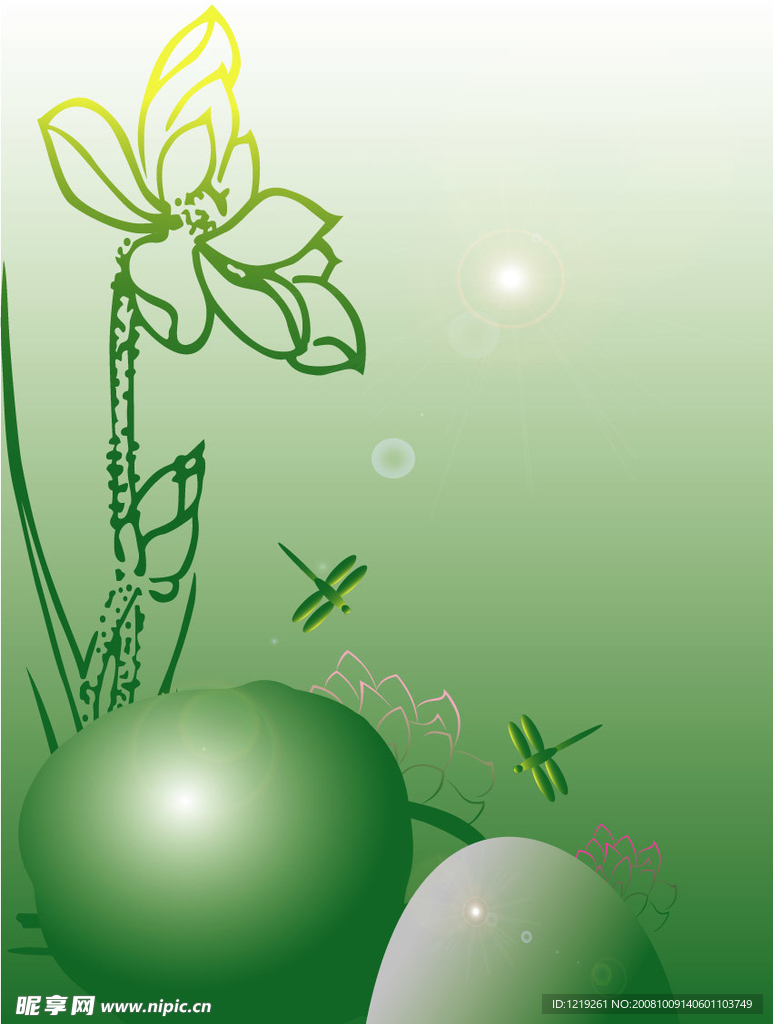 荷花