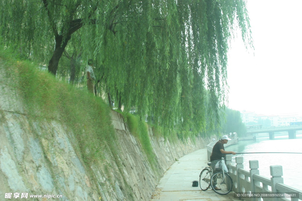 大堤上的小路