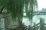 徐州的黄河岸
