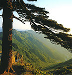 衡山