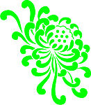 菊花