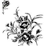 黑白花