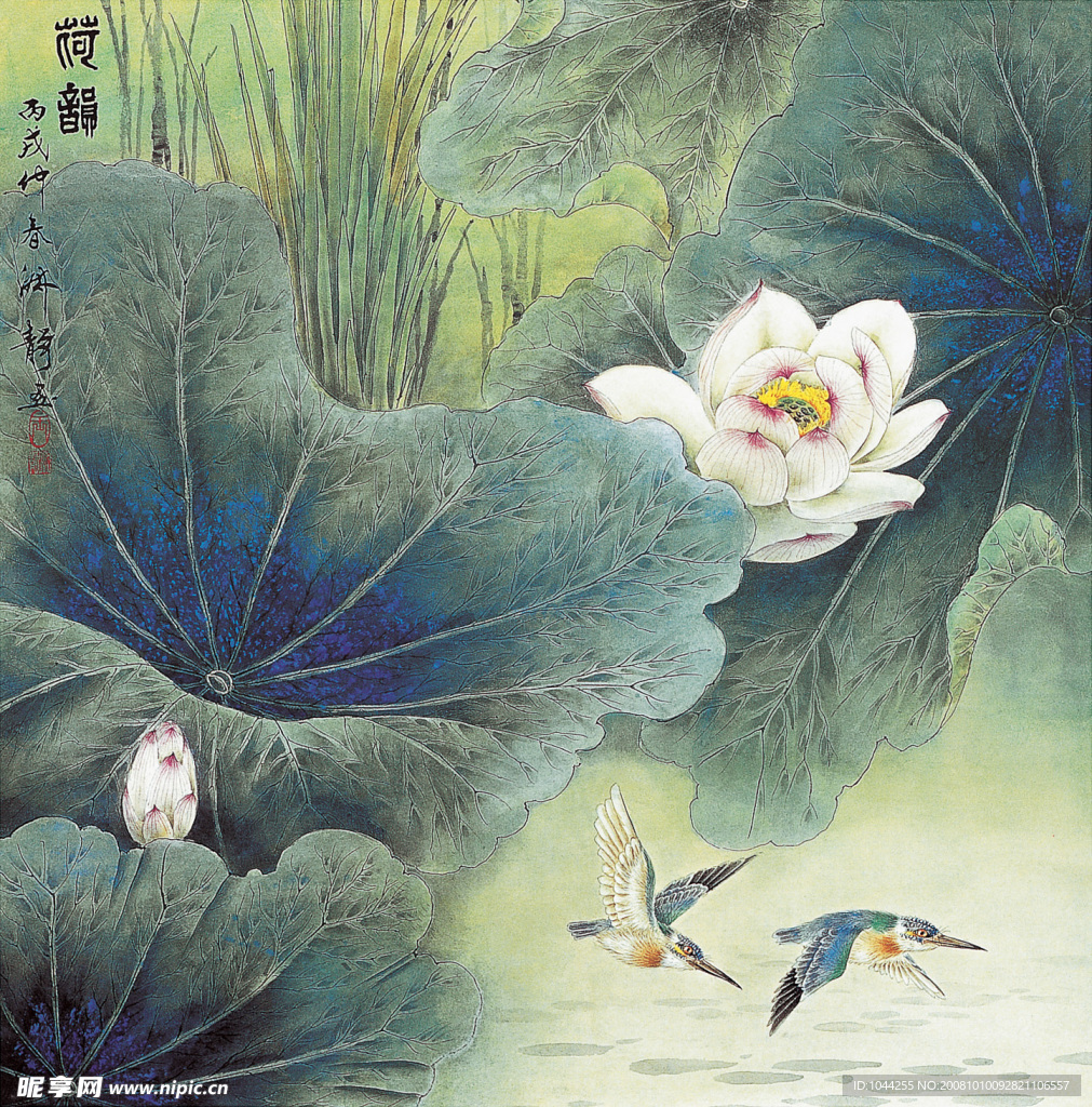 荷花