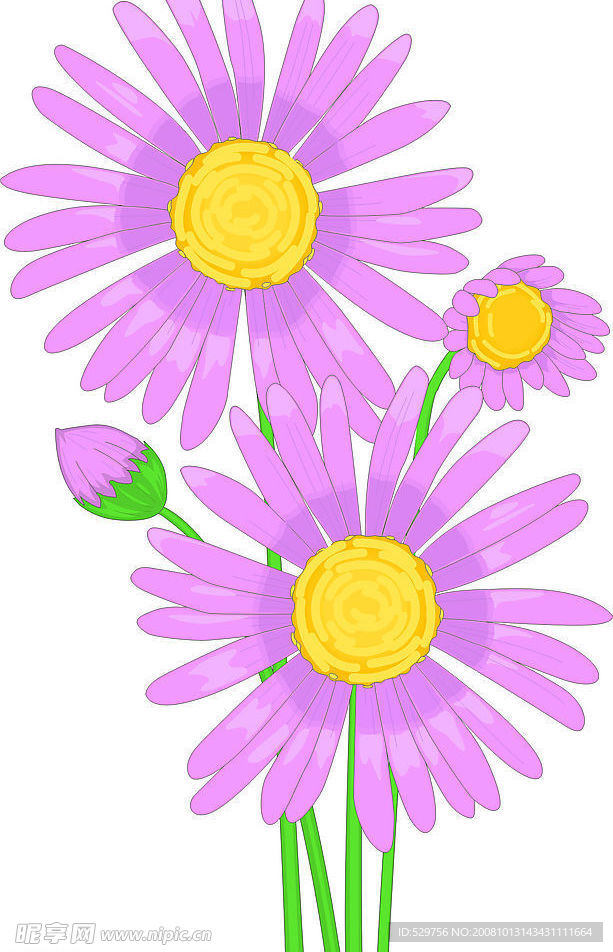 粉色的小花