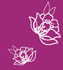 底纹