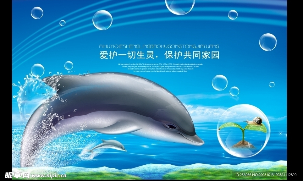 海豚