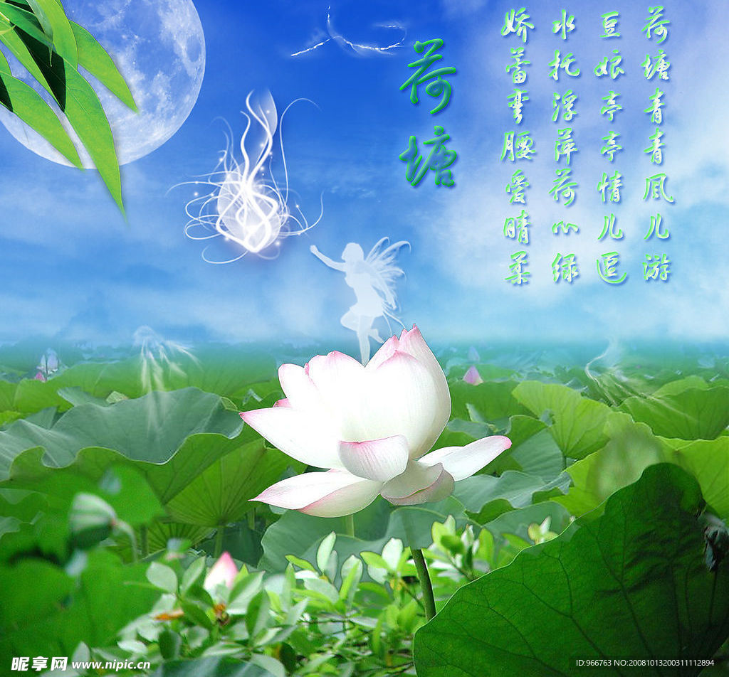 荷塘精灵