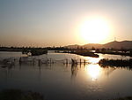 夕阳