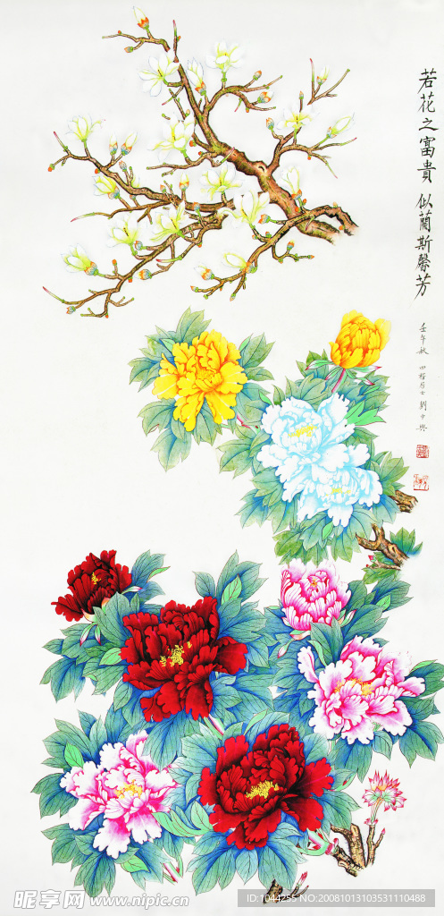 牡丹