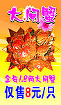 大闸蟹海报