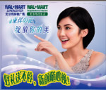 东洋之花海报