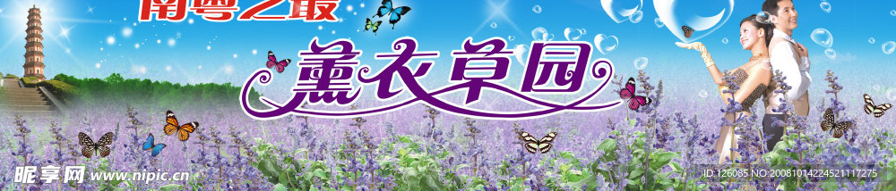 薰衣草园