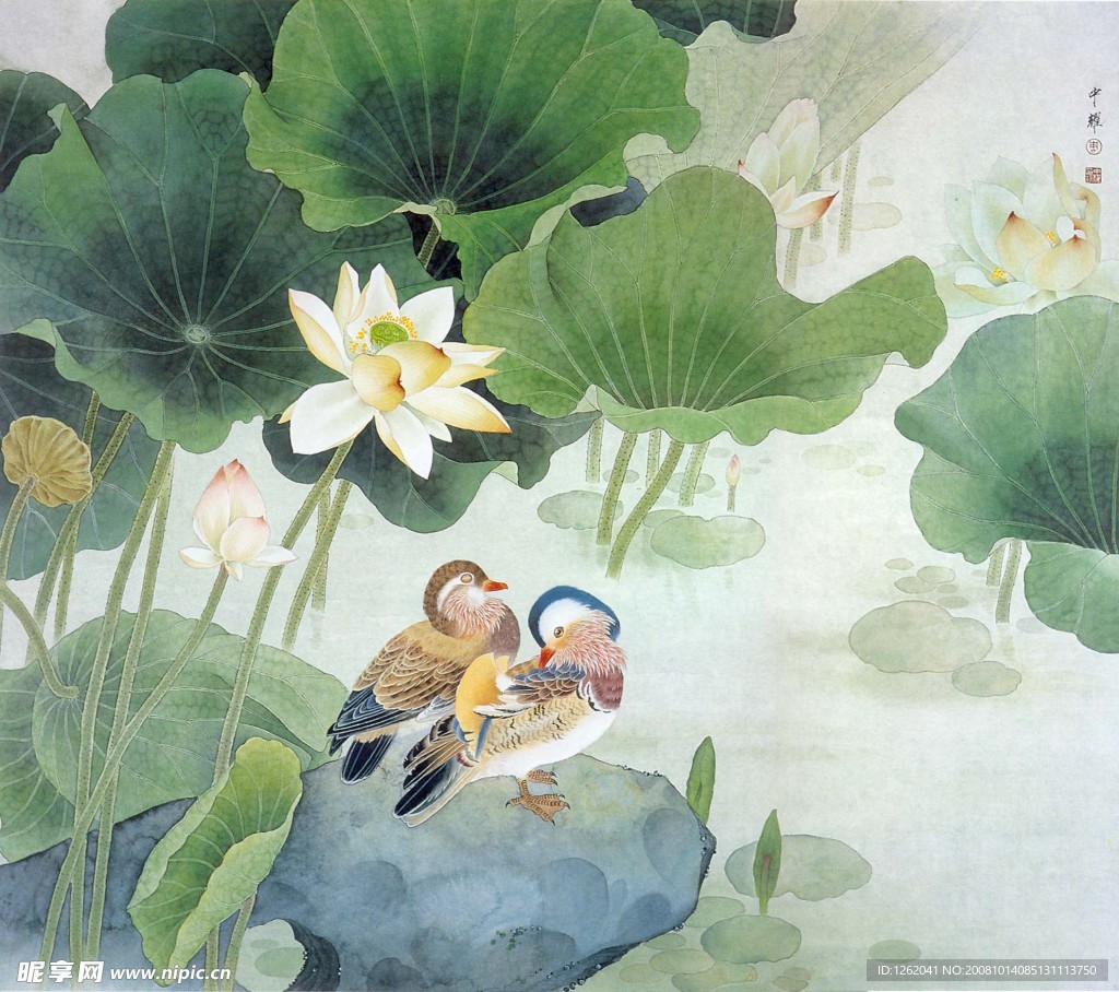 荷塘倩影