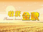 金秋吊旗