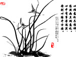 兰花