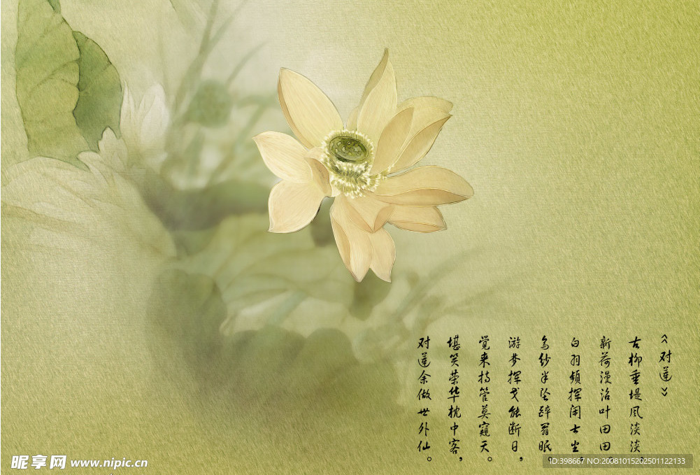 国画荷花背景