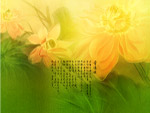 高清荷花背景