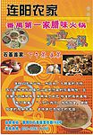 茶