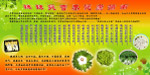 辣辣爽火锅