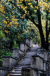 北京香山