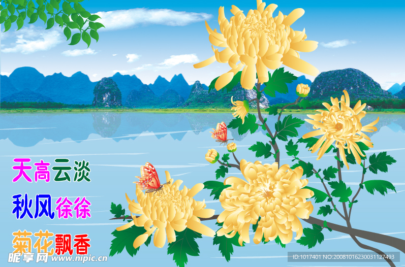 菊花