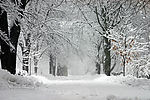 冬天的雪