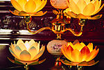 莲花