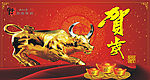 金牛贺岁