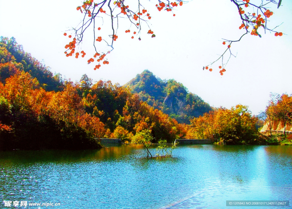 秋日美景