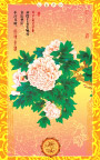 富贵华堂 牡丹花