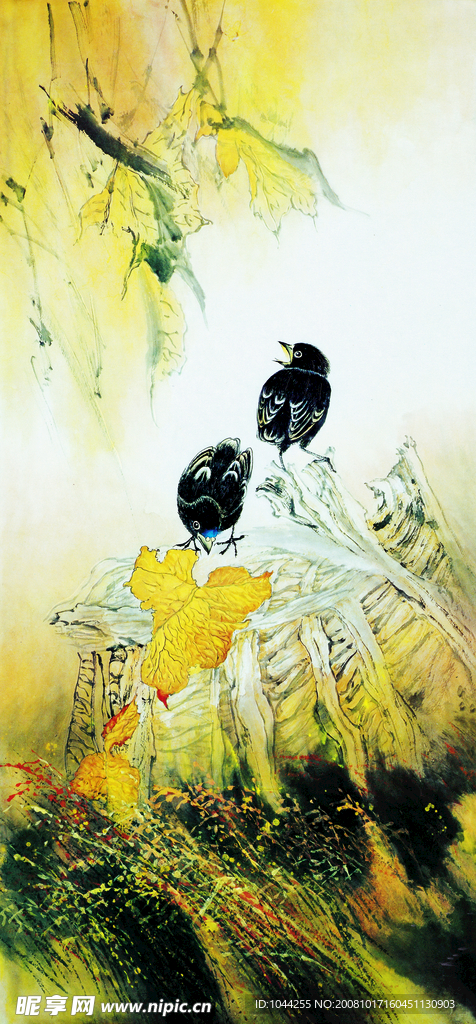 花鸟绘画